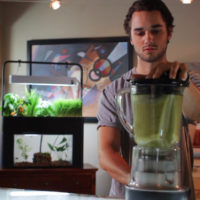 AquaSprouts Aquarium Garden